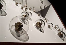 2011 Artwork